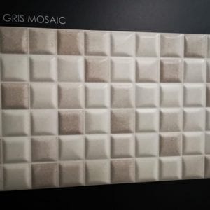 TANIS GRIS MOSAIC 20X60