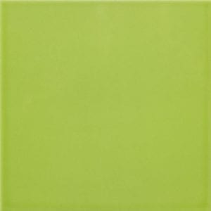 MENTA BRILLO 20X20