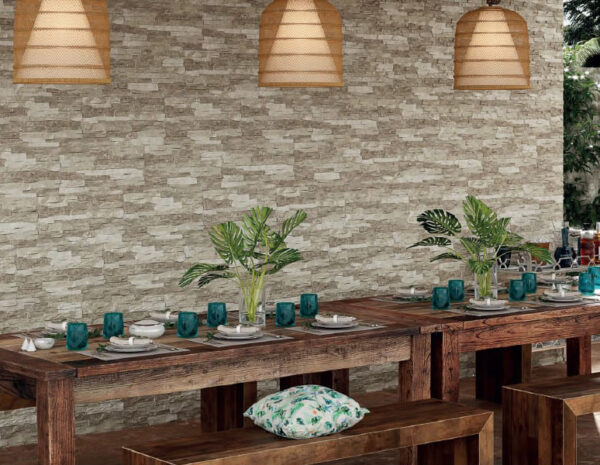 Carrelage imitation brique DORNE BEIGE 25X50