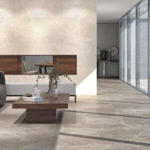 Carrelage Effet Béton rodas gris rodas beige