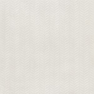 MYSTIQUE DUNE-variedad 3