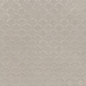 MYSTIQUE MIX-variedad 5