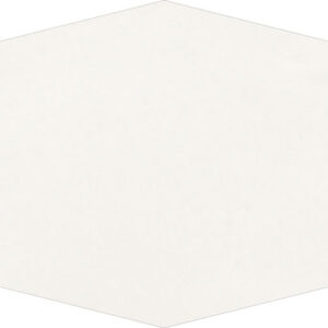 Hex White Gloss 10×20