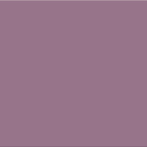 SERIE HAPPY – LILAS 20X50 BRILLANT