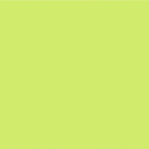 SERIE HAPPY – PISTACHE 20X50 BRILLANT