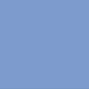 SERIE SMILLE – BLEU 20X50 MAT