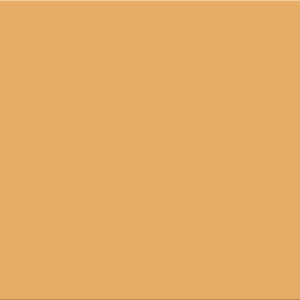 SERIE SMILLE – ORANGE 20X50 MAT