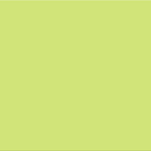 SERIE SMILLE – PISTACHE 20X50 MAT