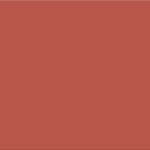 SERIE SMILLE – ROUGE 20X50 MAT
